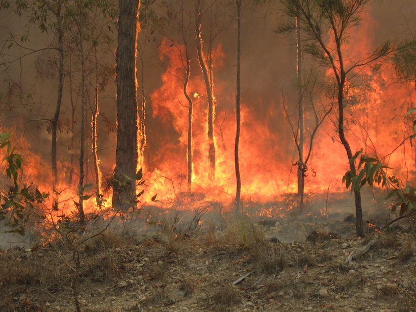 Bush fire at Captain Creek central Queensland Australia